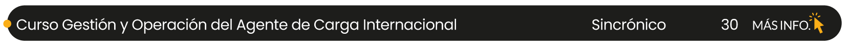 Curso gestión y operación del agente de carga internacional