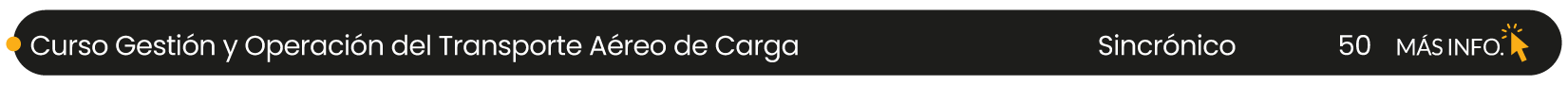 Curso gestión y operación del transporte aéreo de carga